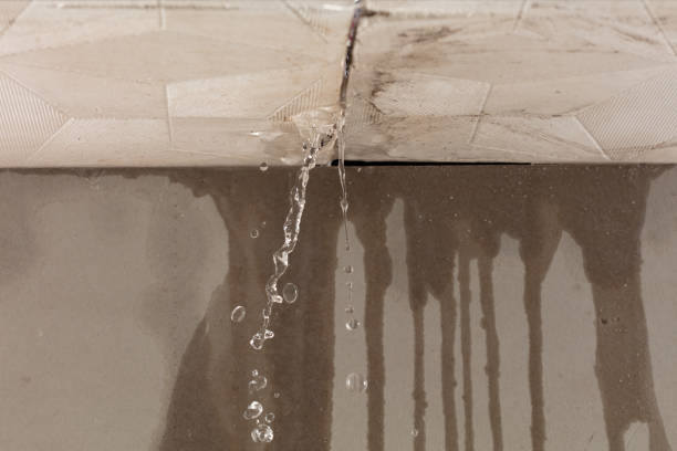 Professional Water Damage Repair technician working in Poth, TX